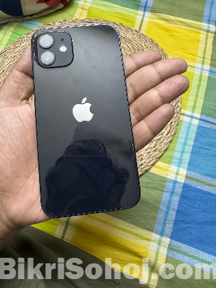iPhone 12